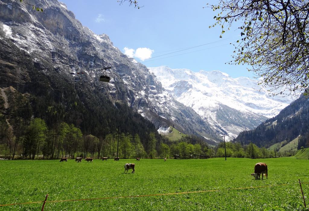 Base Cafe Apartment Lauterbrunnen Exterior photo